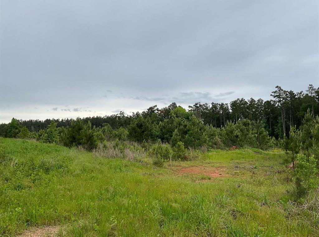 03 County Road 1090, Center, Texas image 3