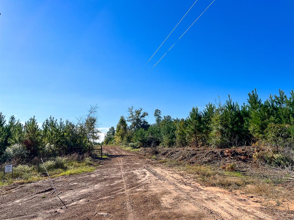 03 County Road 1090, Center, Texas image 5