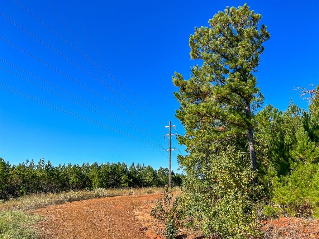 03 County Road 1090, Center, Texas image 15