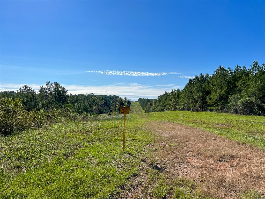 03 County Road 1090, Center, Texas image 7