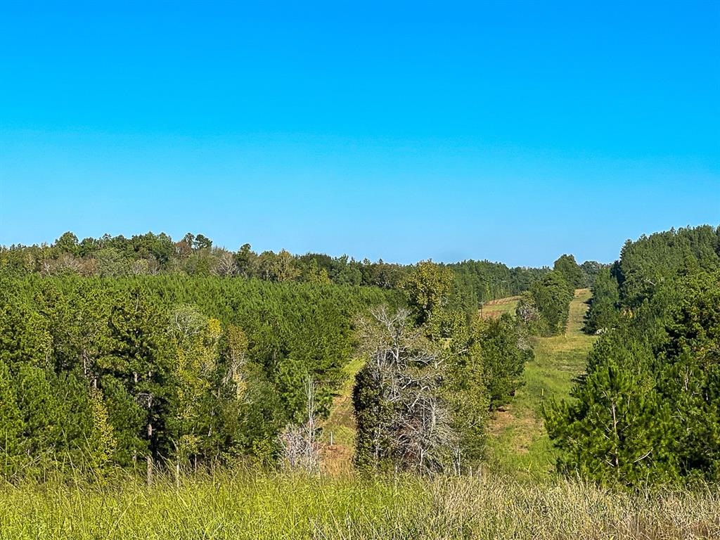 03 County Road 1090, Center, Texas image 4