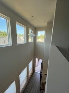 27088 Kestrel Trail Trl, Magnolia, Texas image 6