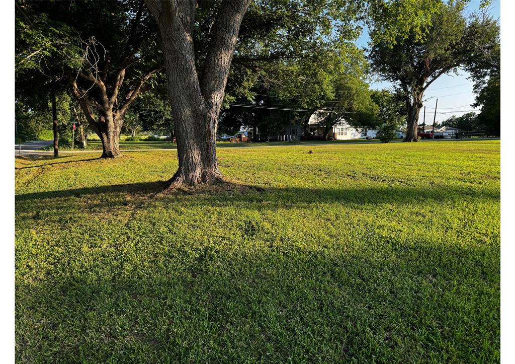 Lot 4 - 320 Douglass Street, Lexington, Texas image 4