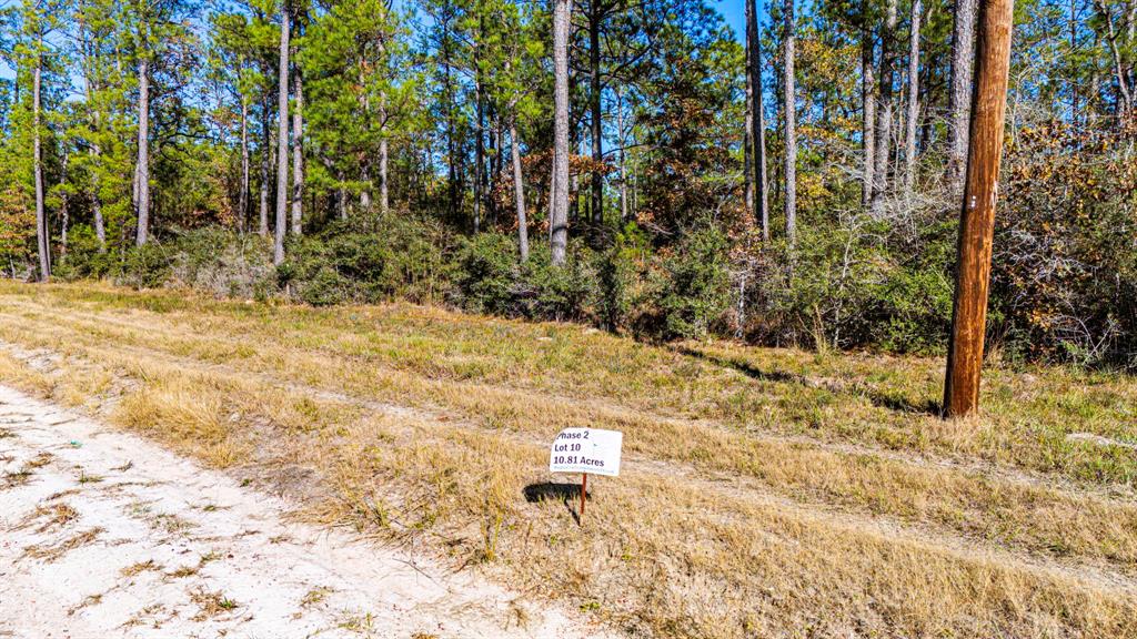 0210 Sportsman Retreat Rd Road, Onalaska, Texas image 5