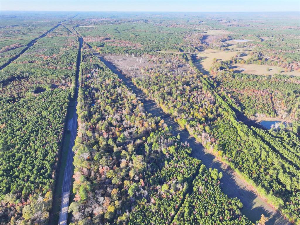 0000 Highway 96 N Highway, Pineland, Texas image 4