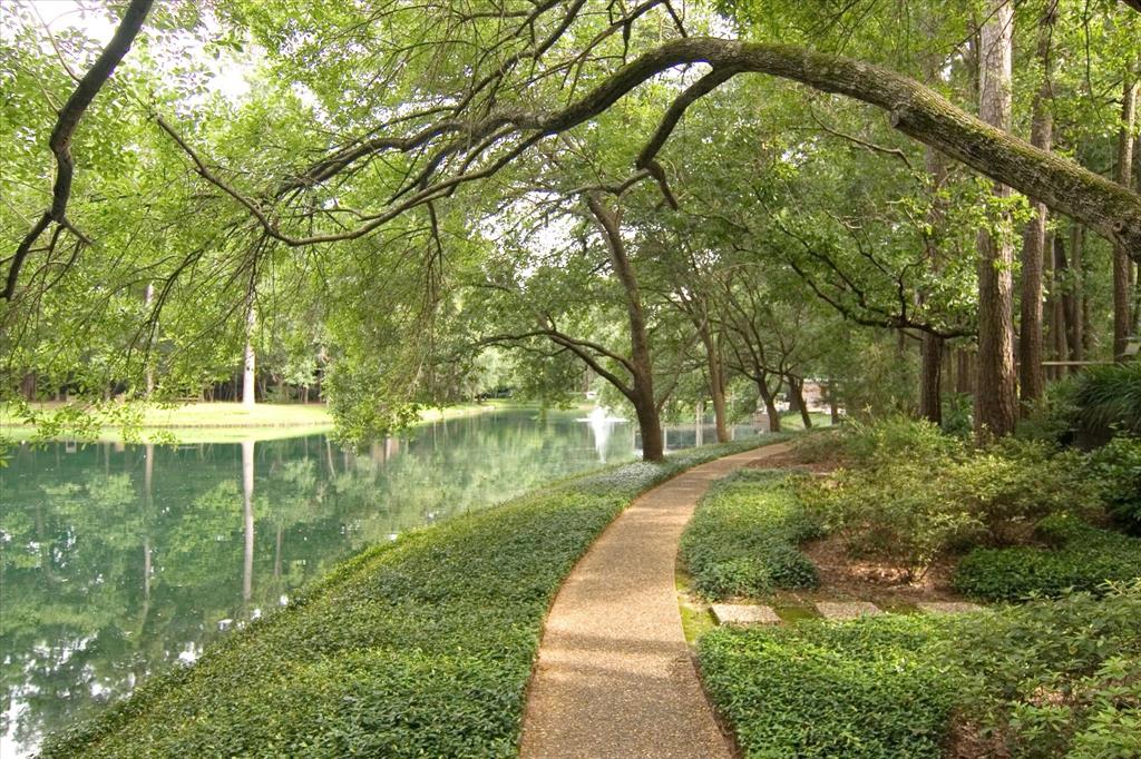 167 Litchfield Lane, Houston, Texas image 30