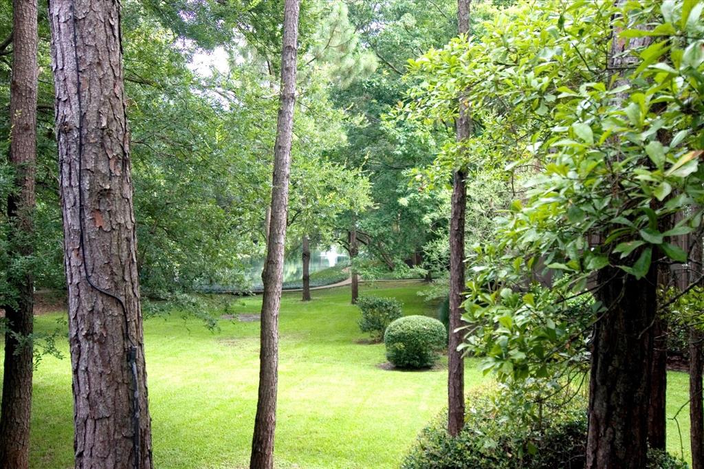 167 Litchfield Lane, Houston, Texas image 29