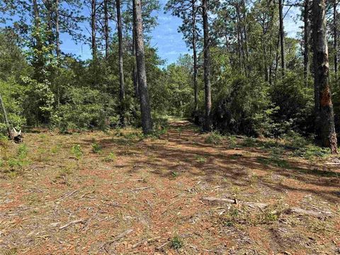 Photo of 565 Sparkleberry Drive, Brookeland, TX 75931 (MLS # 98810850)