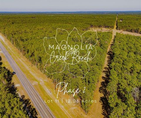 Photo of 211 Fm 3459, Onalaska, TX 77360 (MLS # 56902998)