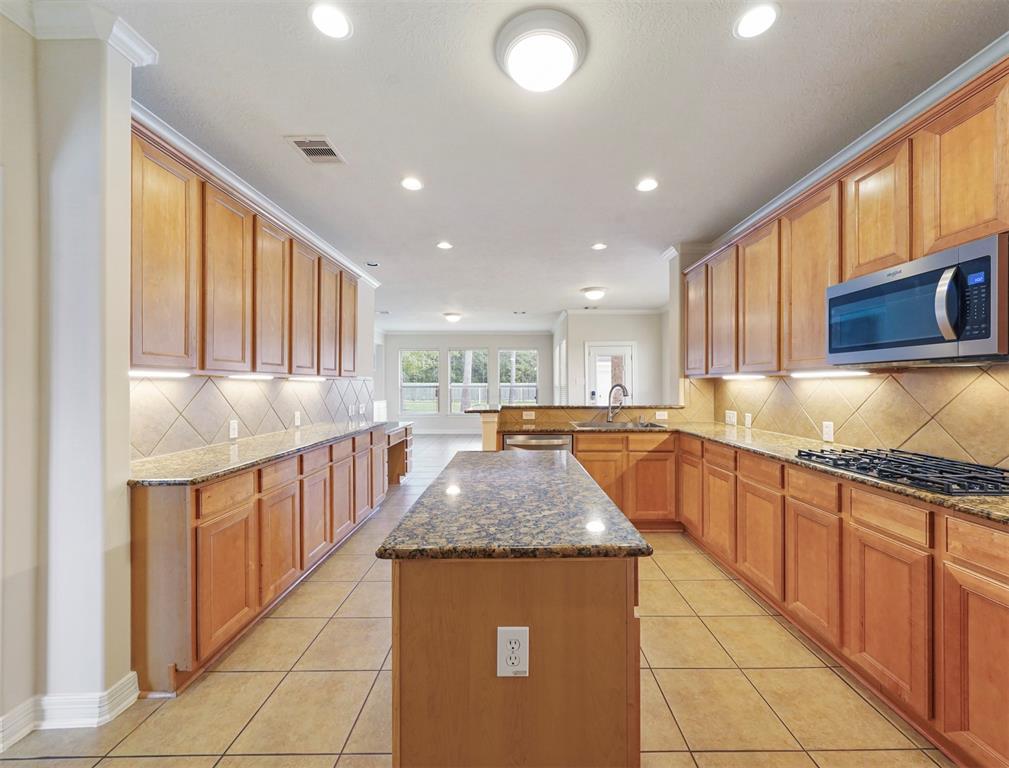 14414 Spring Mountain Drive, Tomball, Texas image 9