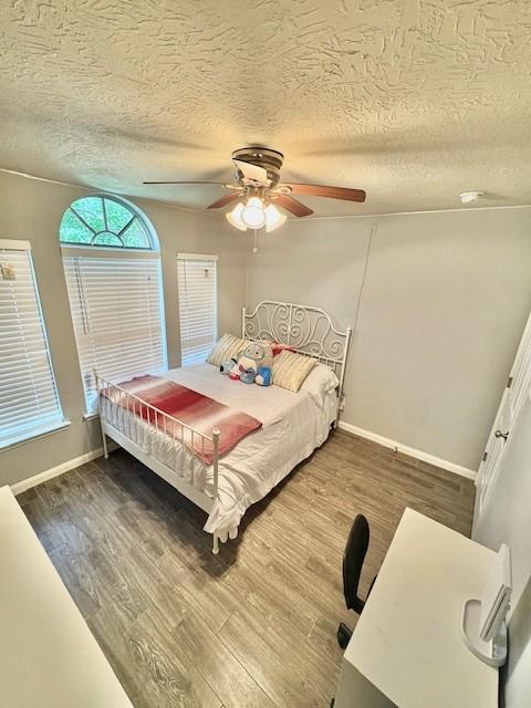 4511 Hunter Green Court, Fresno, Texas image 18