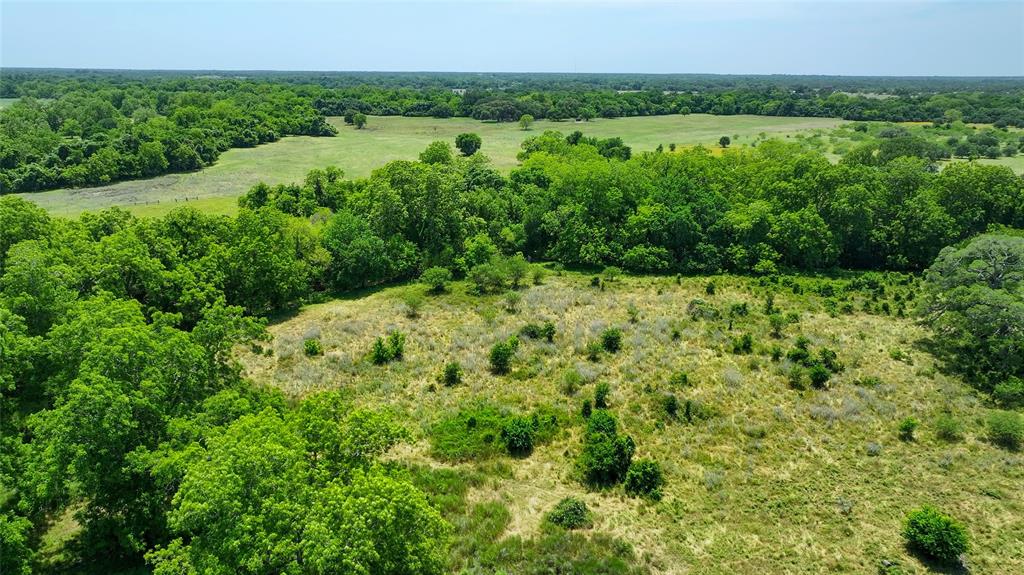 4898 Fm 2616, Hallettsville, Texas image 8