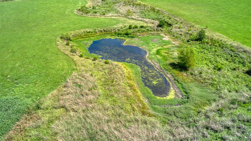 24594 Fm 362 Road, Waller, Texas image 15