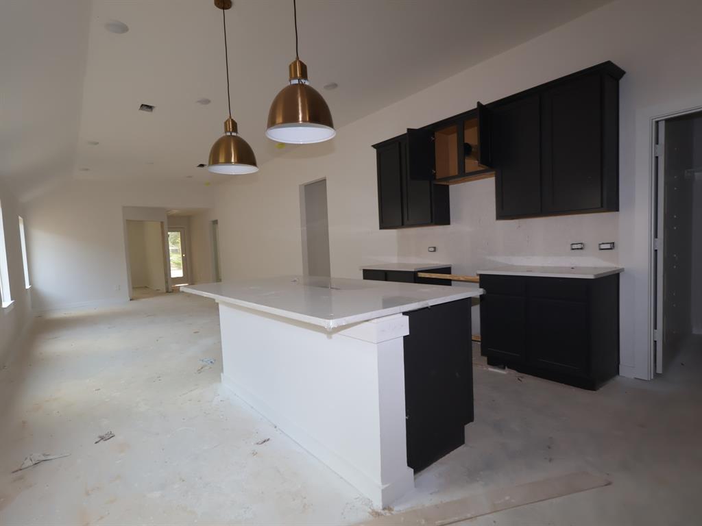 17138 Quaking Aspen Lane, New Caney, Texas image 12