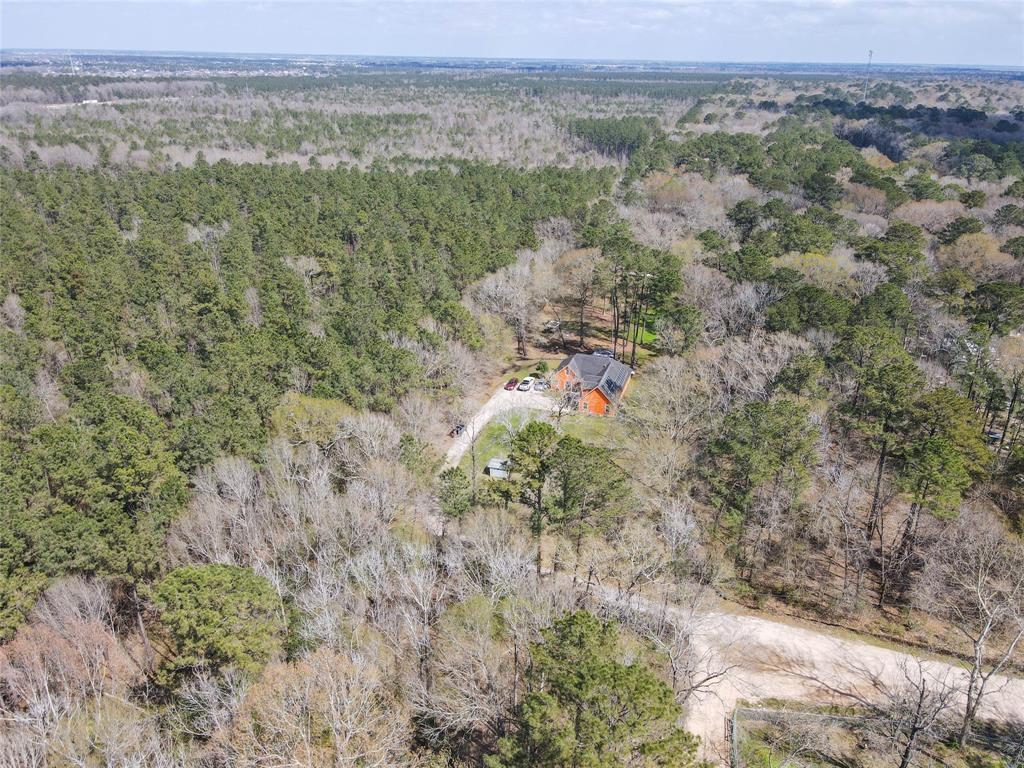 1 Ash Place, New Caney, Texas image 6