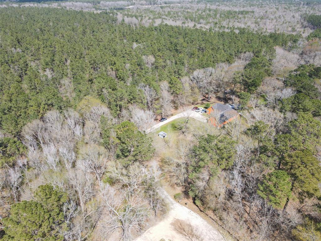 1 Ash Place, New Caney, Texas image 35