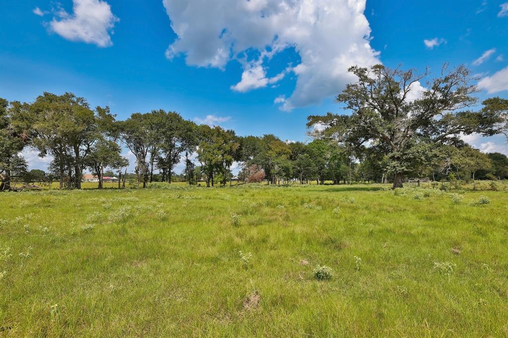 24783 Nine Bar Road, Hempstead, Texas image 28