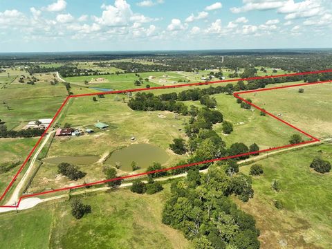 Vacant Land For Sale - 24783 Nine Bar Road<br/> Hempstead, TX 77445