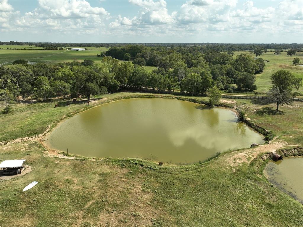 24783 Nine Bar Road, Hempstead, Texas image 4