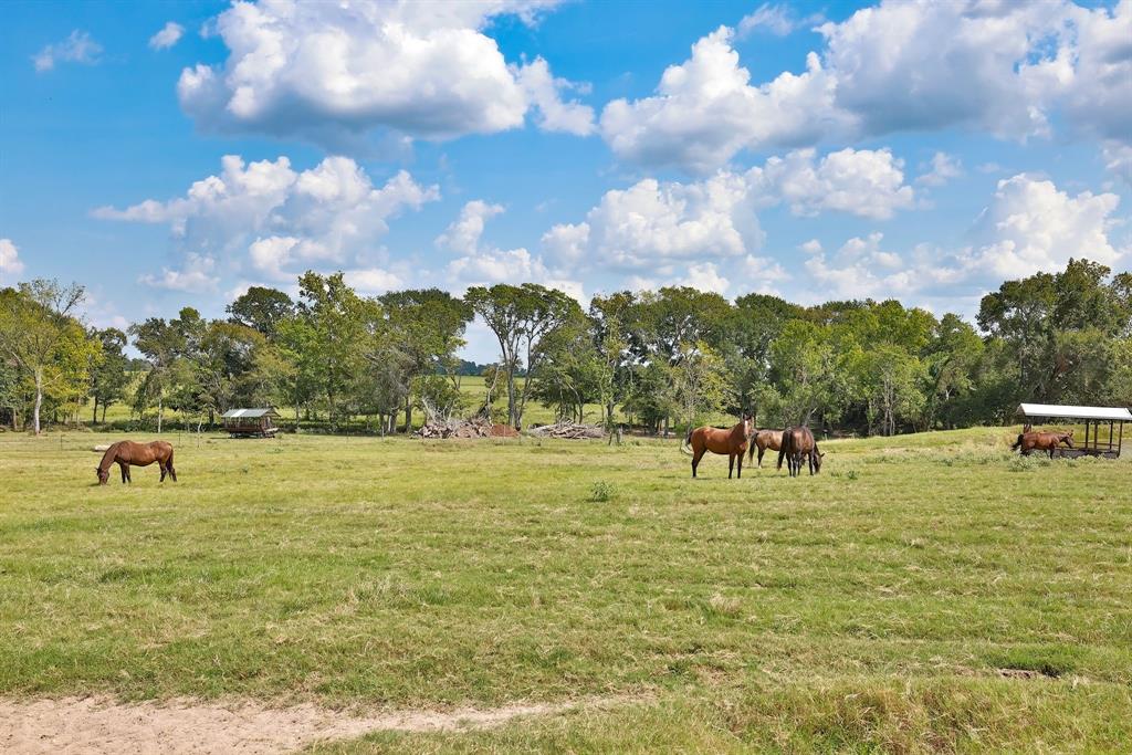 24783 Nine Bar Road, Hempstead, Texas image 34