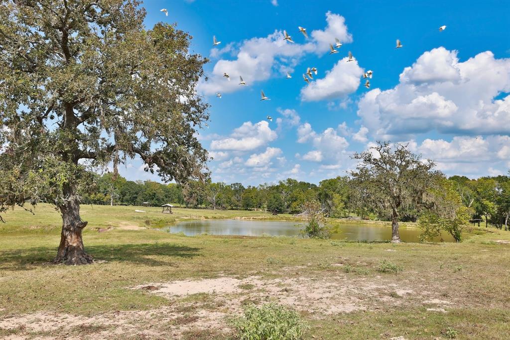 24783 Nine Bar Road, Hempstead, Texas image 33