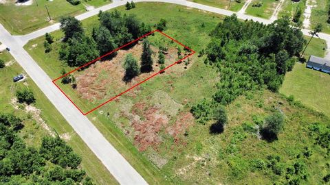 Photo of 269 County Road 5025, Cleveland, TX 77327 (MLS # 6345506)