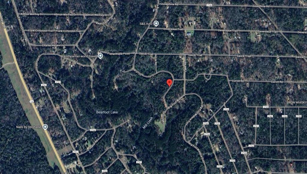 351 Big Foot Wallace Trail, Livingston, Texas image 2