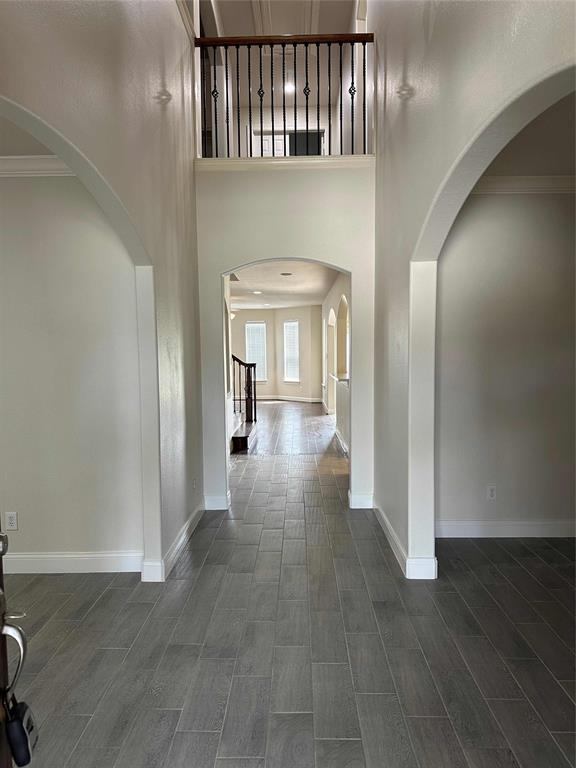 24811 Deep Coral Court, Katy, Texas image 19