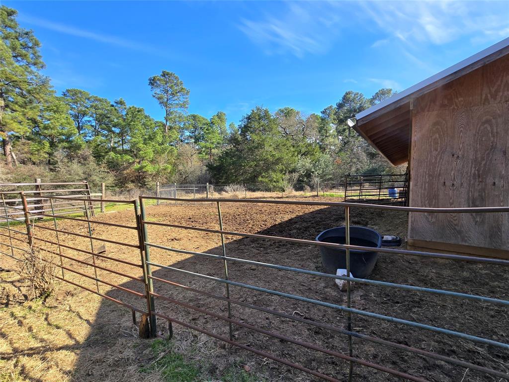 191 Pine Canyon Drive, Smithville, Texas image 5