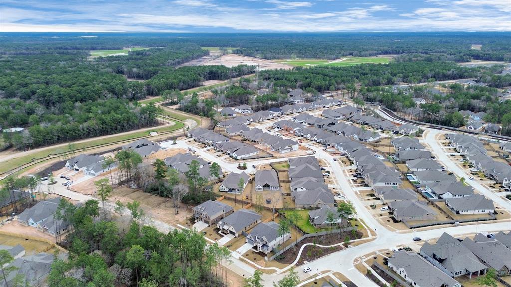 17315 July Moon Lane, Conroe, Texas image 12