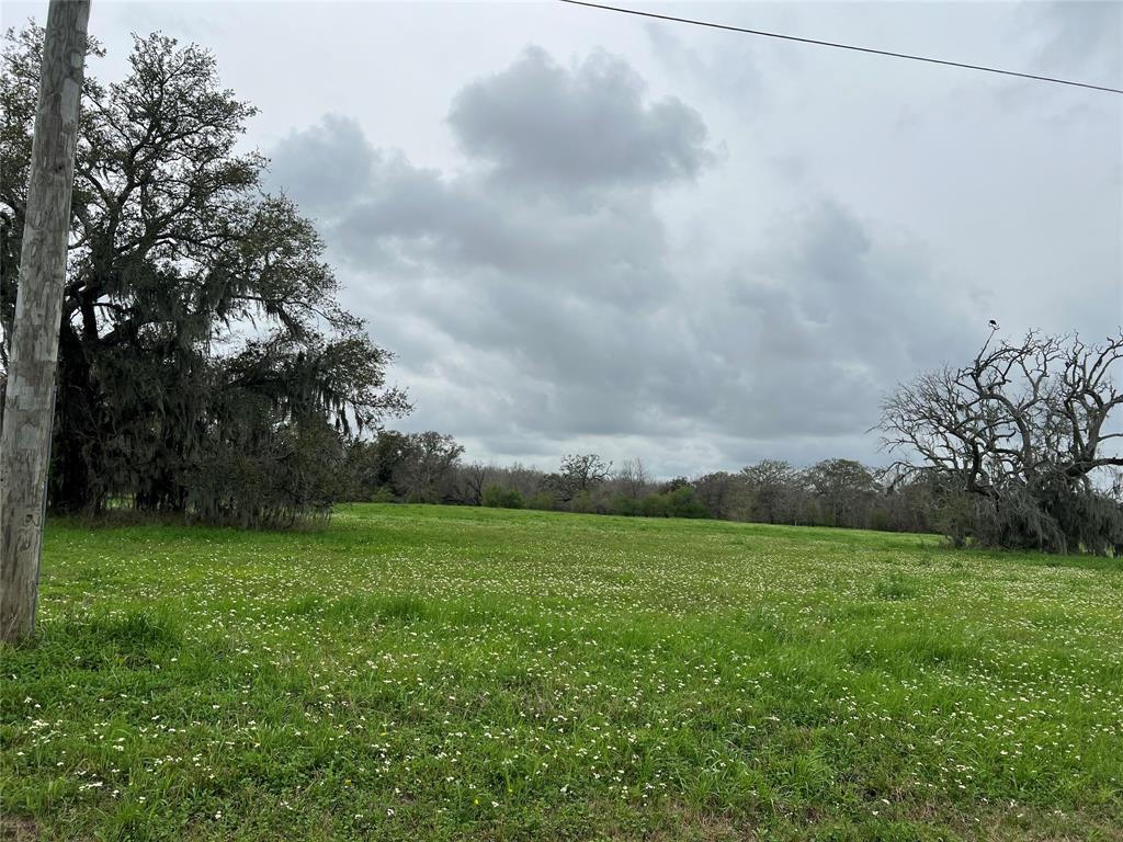 490 Pony Trail, Angleton, Texas image 5