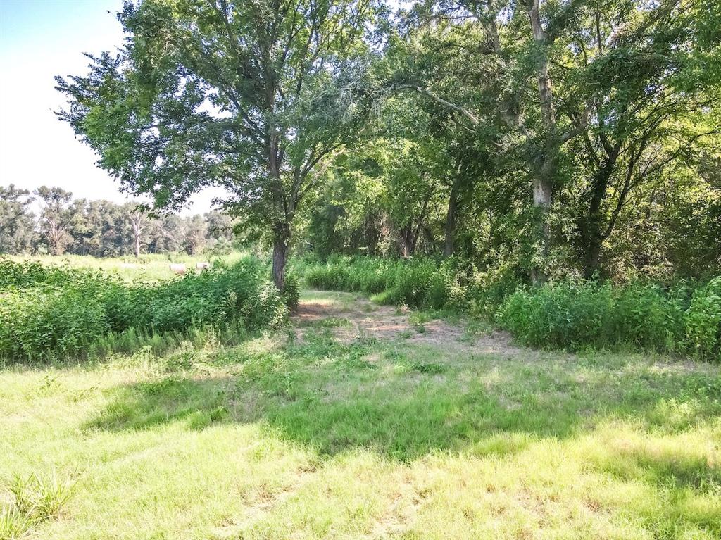 TBD Highway 75, Teague, Texas image 7