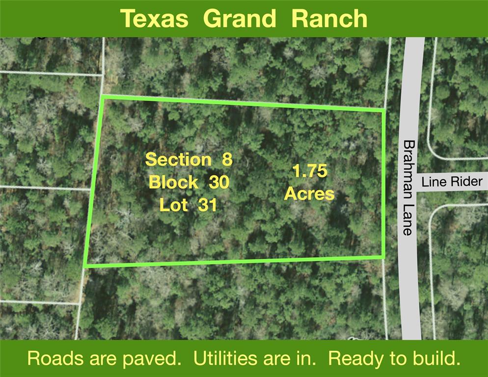 8-30-31 Brahman Lane, New Waverly, Texas image 1