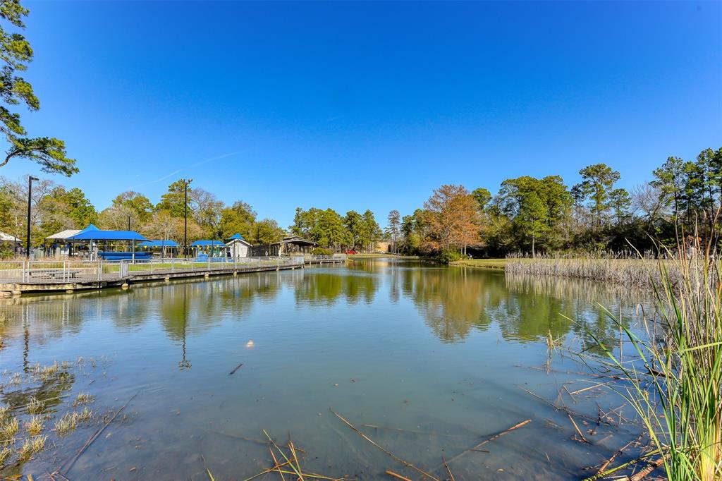 3 Shallow Pond Court, The Woodlands, Texas image 49