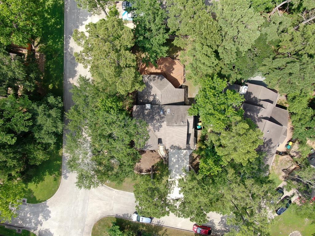 3 Shallow Pond Court, The Woodlands, Texas image 4