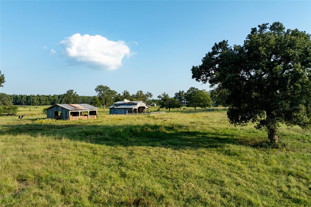 1745 County Rd 4040, Crockett, Texas image 10