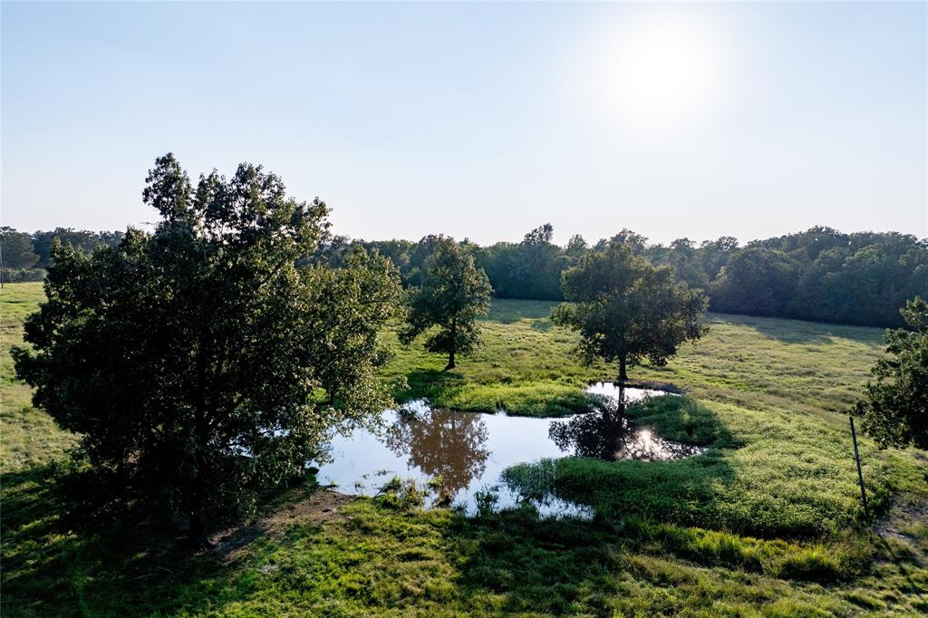 1745 County Rd 4040, Crockett, Texas image 18