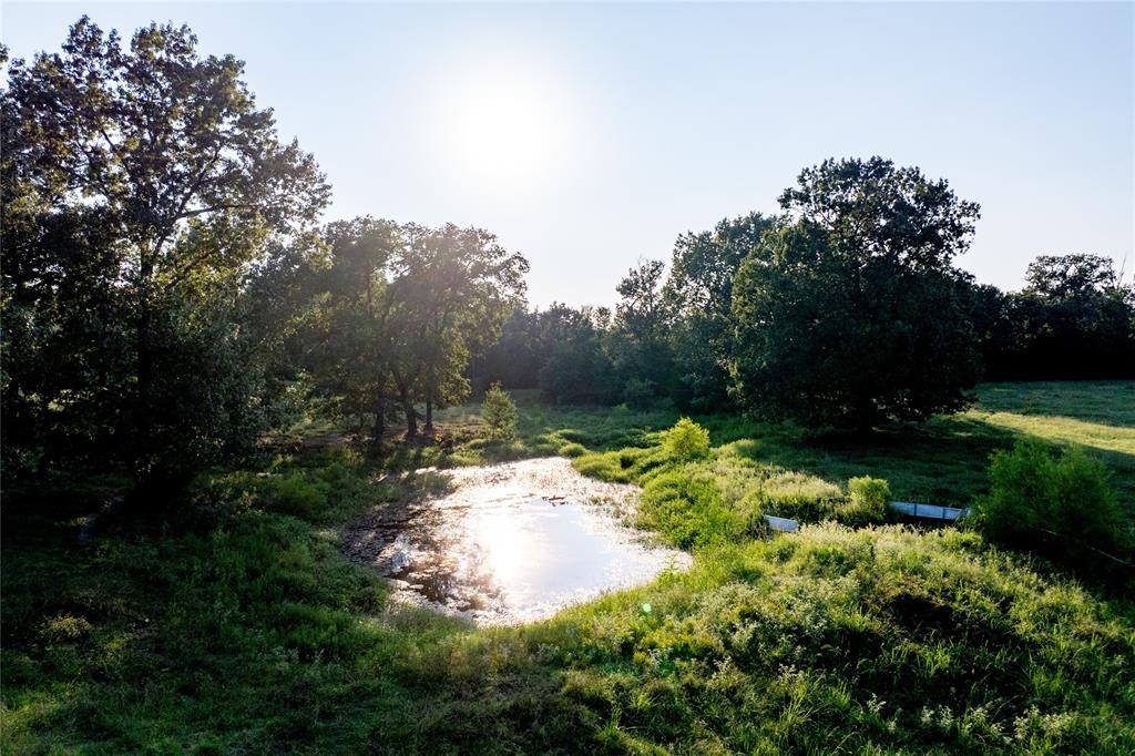 1745 County Rd 4040, Crockett, Texas image 19