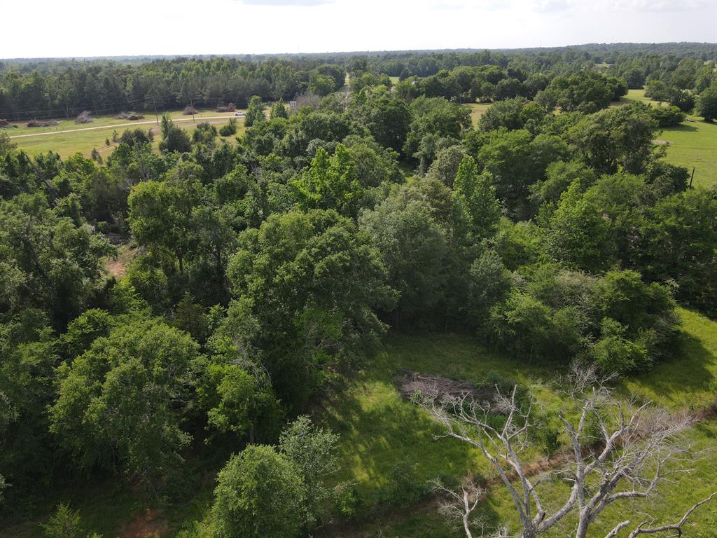 8029 Fm-977, Leona, Texas image 7