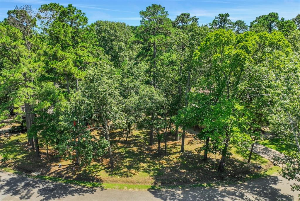 90 N Royale Greens Drive, Coldspring, Texas image 1