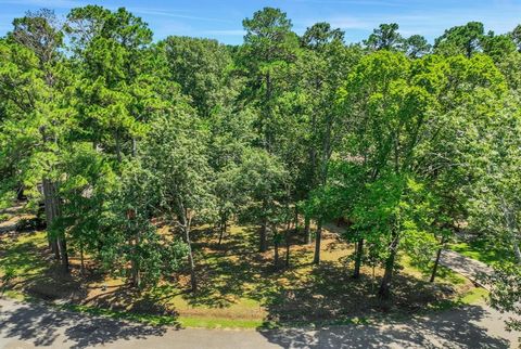 Photo of 90 N Royale Greens Drive, Coldspring, TX 77331 (MLS # 26076720)