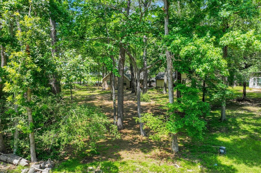 90 N Royale Greens Drive, Coldspring, Texas image 7