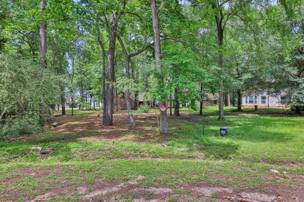 90 N Royale Greens Drive, Coldspring, Texas image 6