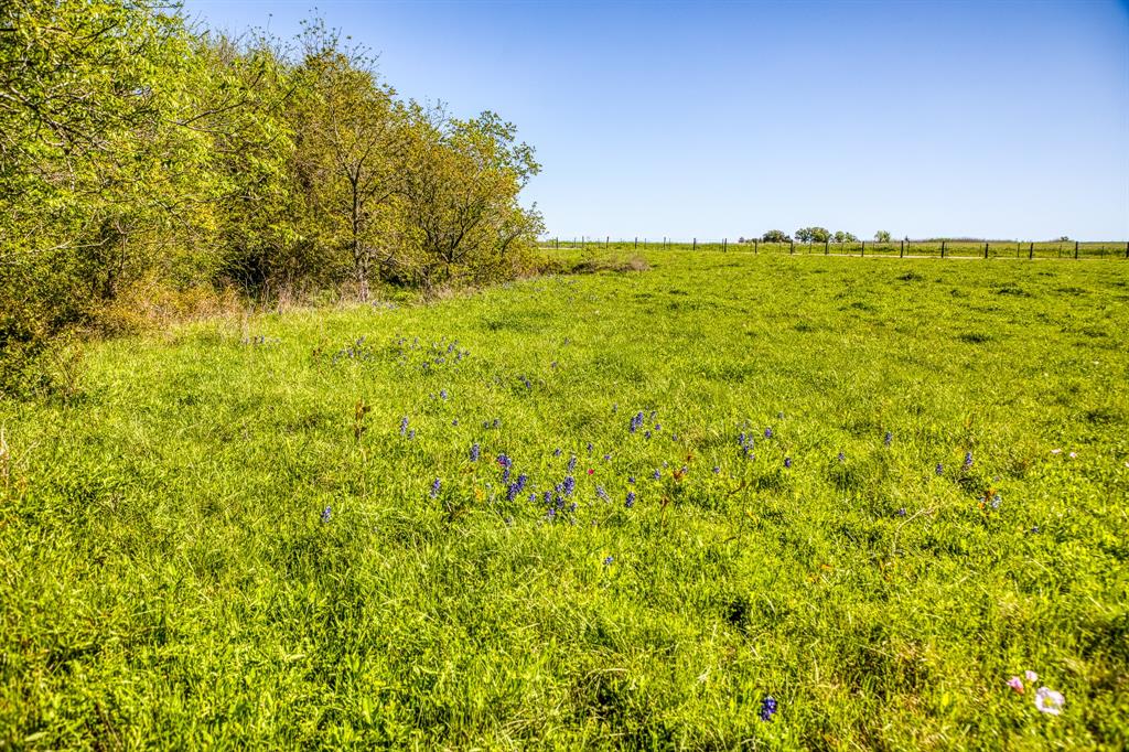 000 Fm 50, Brenham, Texas image 7