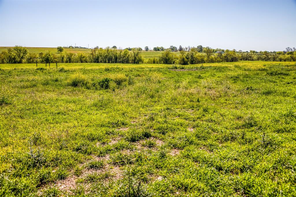 000 Fm 50, Brenham, Texas image 3