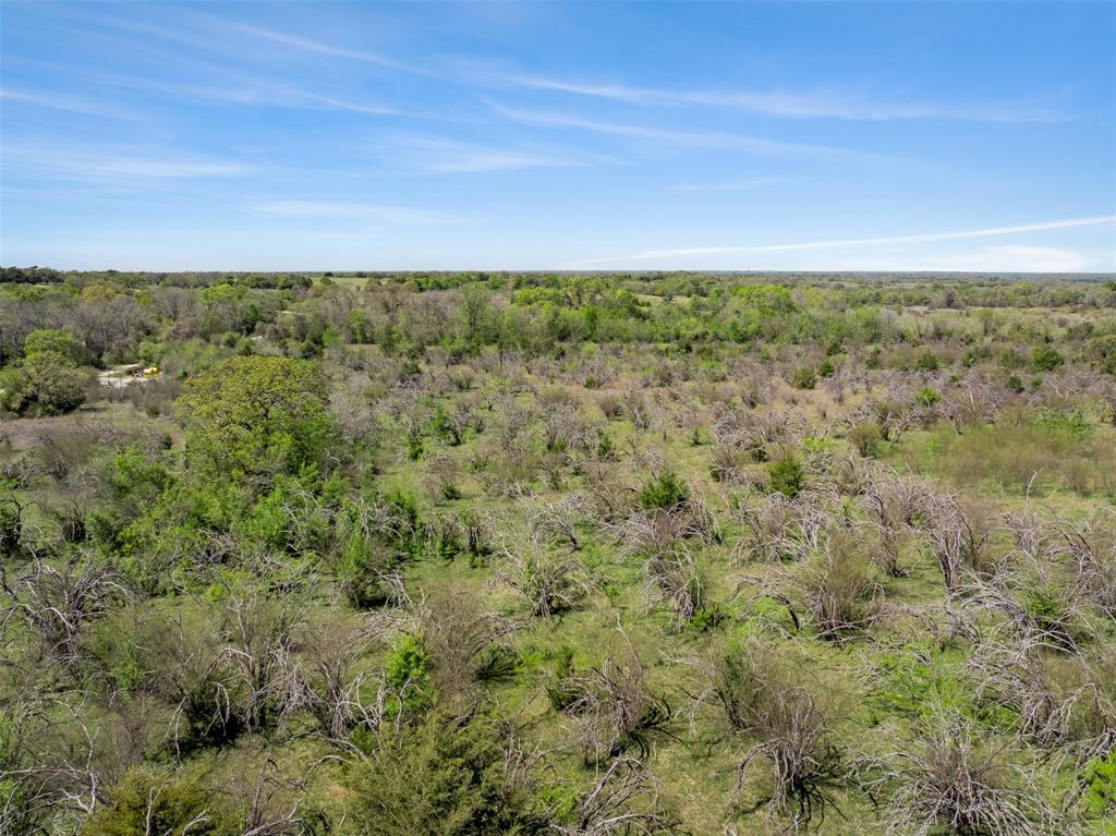000 Dannheim Road, Brenham, Texas image 18
