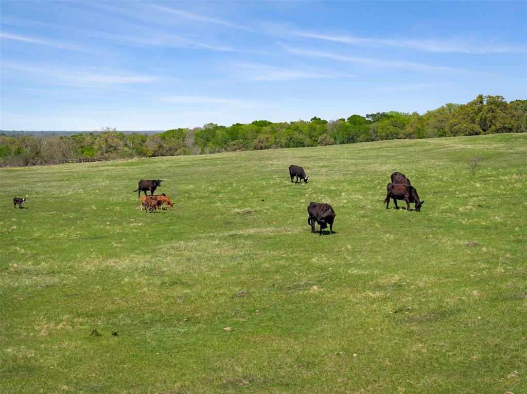 000 Dannheim Road, Brenham, Texas image 19