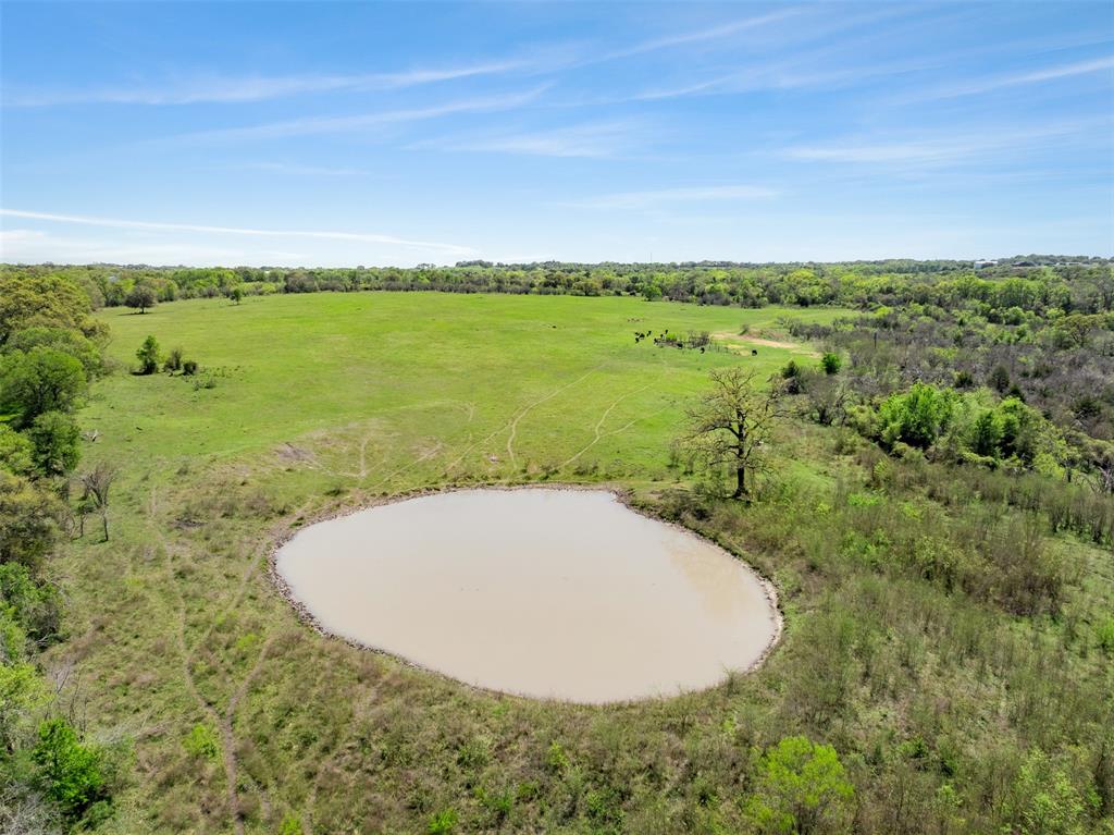 000 Dannheim Road, Brenham, Texas image 13