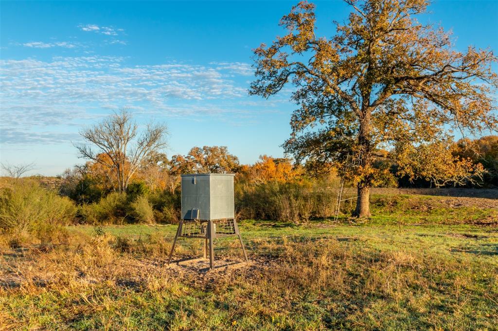 000 Dannheim Road, Brenham, Texas image 8