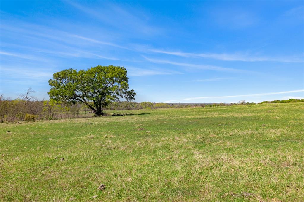 000 Dannheim Road, Brenham, Texas image 8